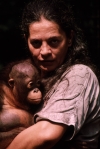 „Poţi substitui cimpanzeii Mike şi Jim cu indivizi din politică”
